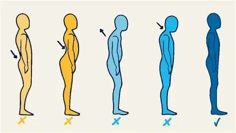 La posture influence directement la santé articulaire, musculaire et viscérale. Une mauvaise position prolongée entraîne souvent douleurs, tensions et perte de mobilité. En consultation d’ostéopathie à Ambarès-et-Lagrave ou à La Sauve, le travail sur la p